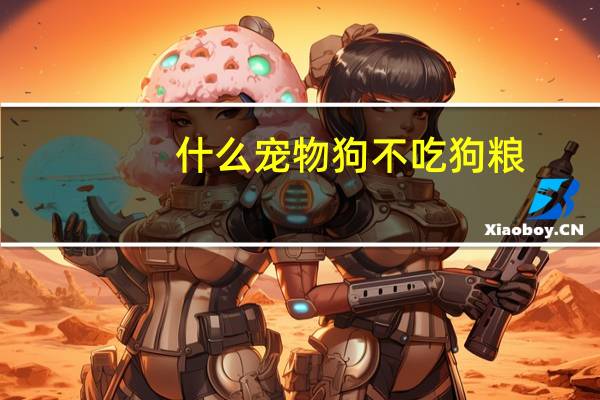 什么宠物狗不吃狗粮