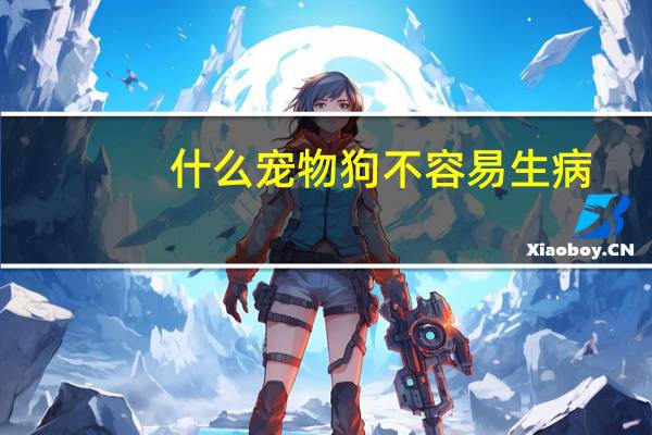 什么宠物狗不容易生病