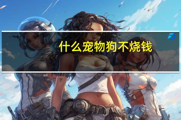 什么宠物狗不烧钱