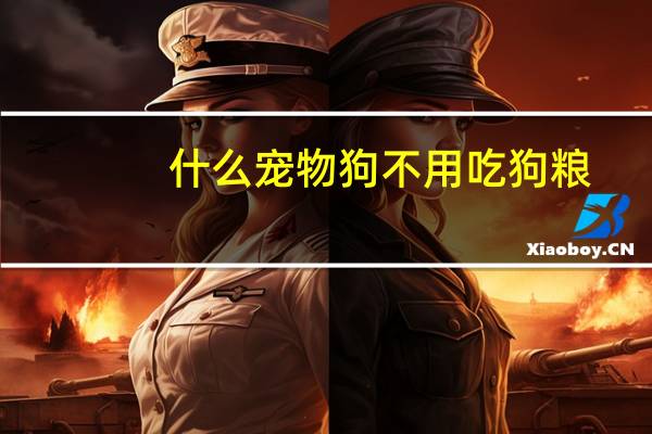 什么宠物狗不用吃狗粮