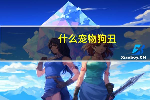 什么宠物狗丑