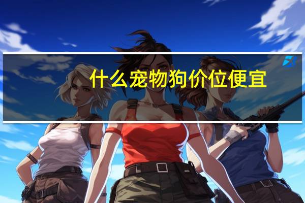 什么宠物狗价位便宜