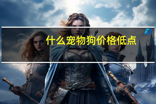什么宠物狗价格低点