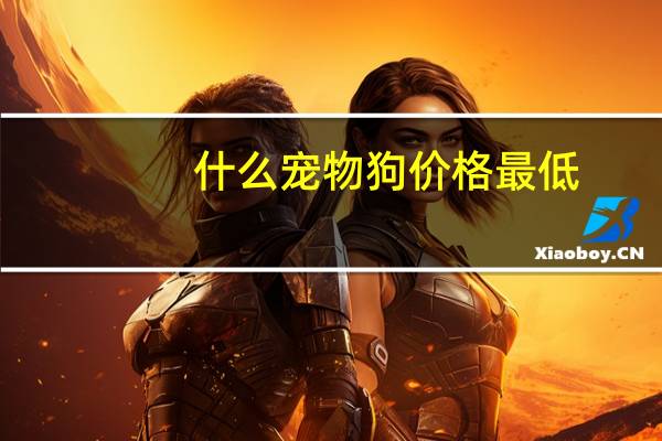 什么宠物狗价格最低