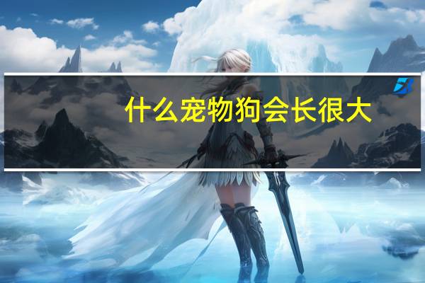 什么宠物狗会长很大