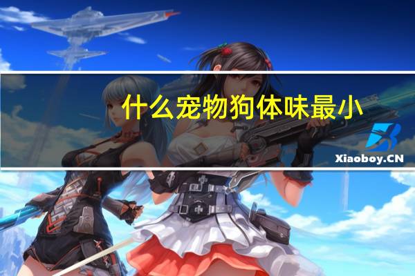 什么宠物狗体味最小