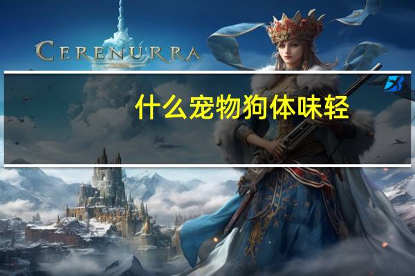 什么宠物狗体味轻