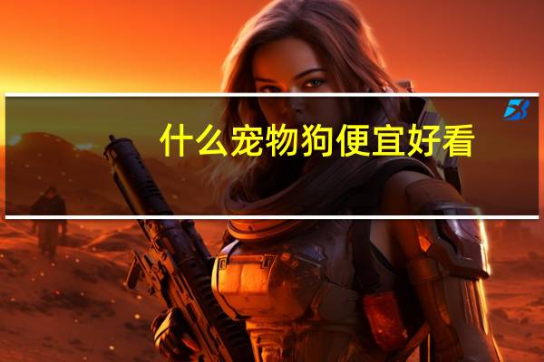 什么宠物狗便宜好看
