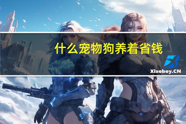 什么宠物狗养着省钱