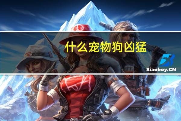 什么宠物狗凶猛
