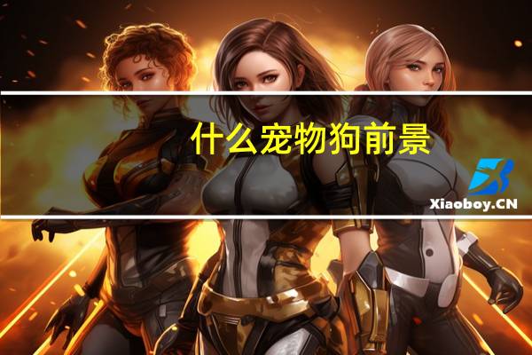 什么宠物狗前景