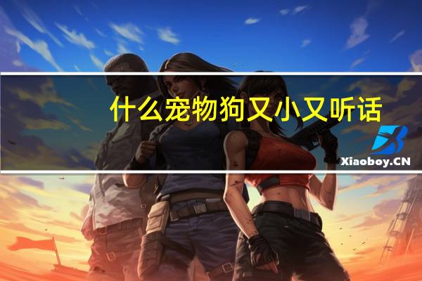 什么宠物狗又小又听话