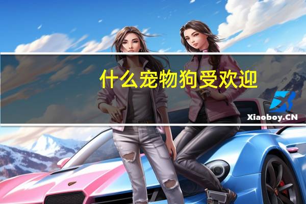 什么宠物狗受欢迎