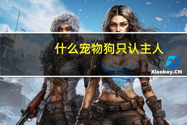 什么宠物狗只认主人