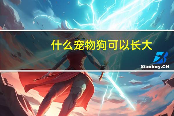 什么宠物狗可以长大
