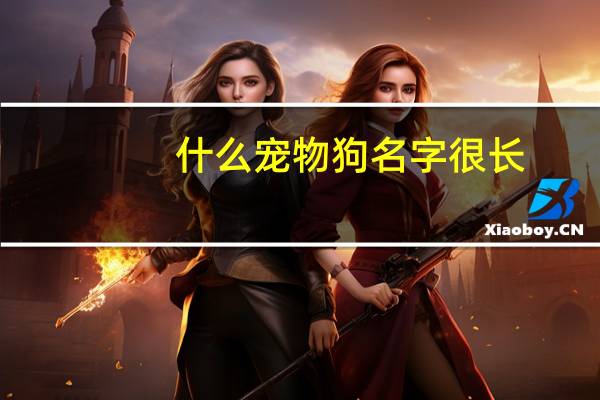 什么宠物狗名字很长