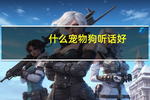 什么宠物狗听话好
