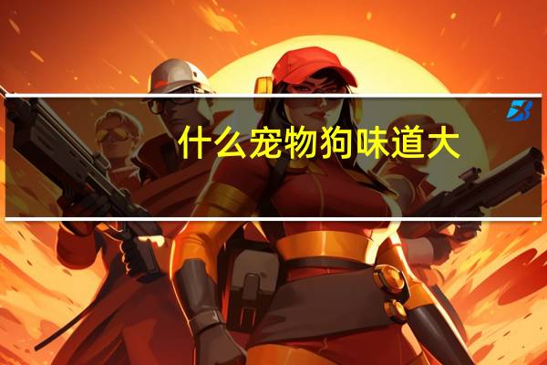 什么宠物狗味道大
