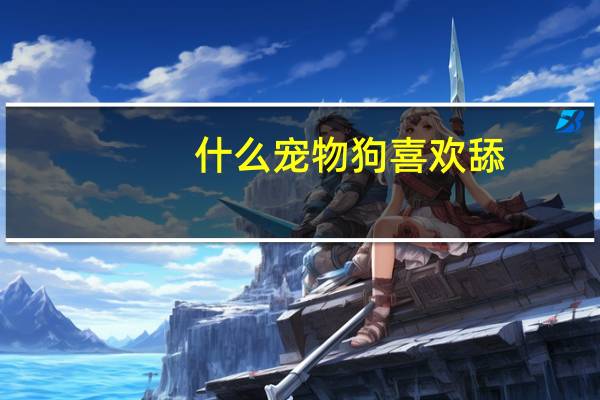 什么宠物狗喜欢舔