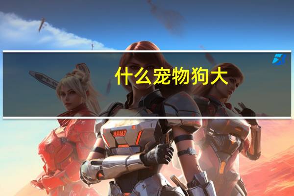 什么宠物狗大