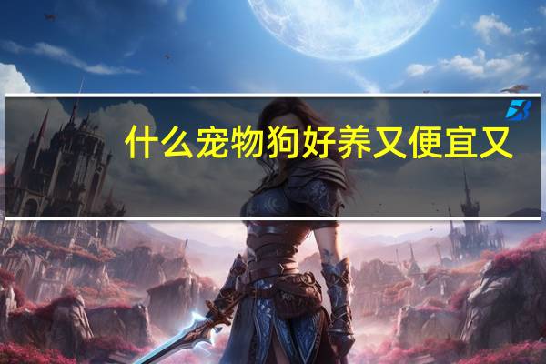 什么宠物狗好养又便宜又