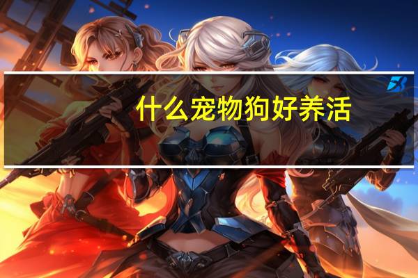 什么宠物狗好养活