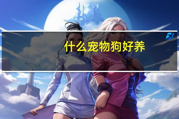 什么宠物狗好养