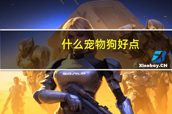 什么宠物狗好点