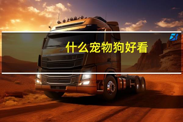 什么宠物狗好看