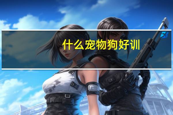 什么宠物狗好训
