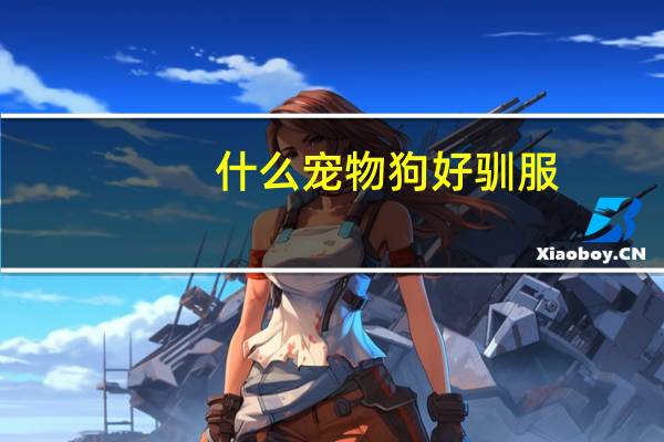 什么宠物狗好驯服