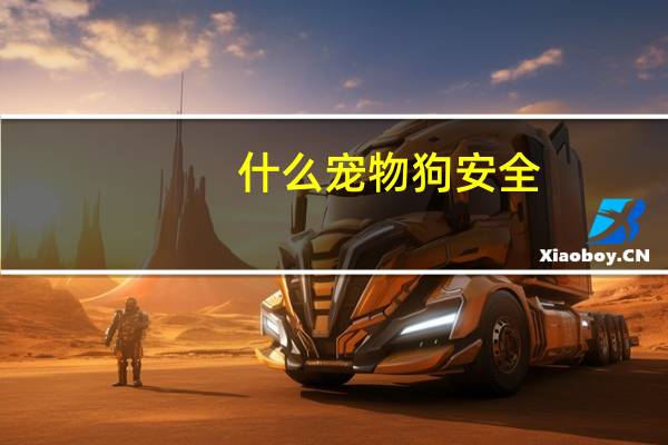 什么宠物狗安全