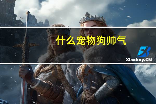 什么宠物狗帅气