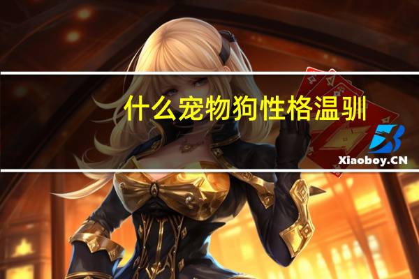 什么宠物狗性格温驯