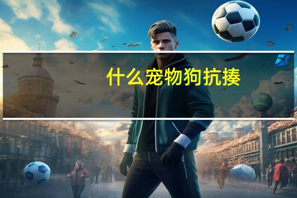 什么宠物狗抗揍