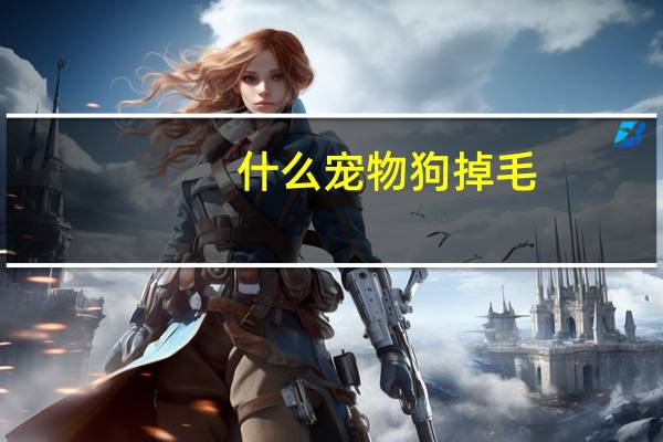 什么宠物狗掉毛
