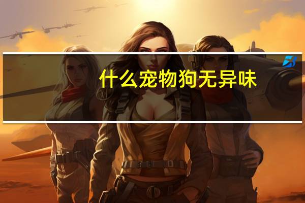 什么宠物狗无异味