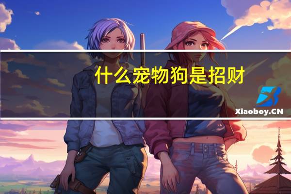 什么宠物狗是招财