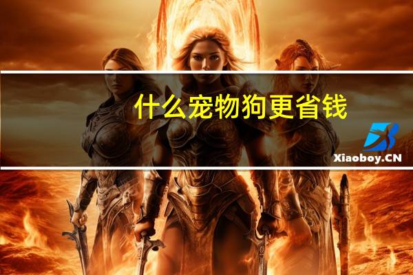 什么宠物狗更省钱