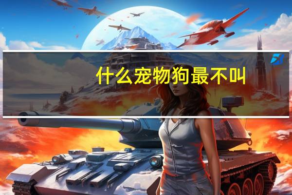 什么宠物狗最不叫