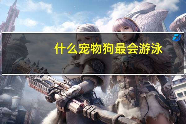 什么宠物狗最会游泳
