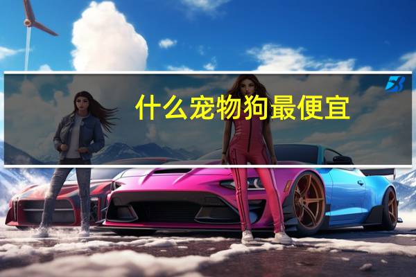 什么宠物狗最便宜