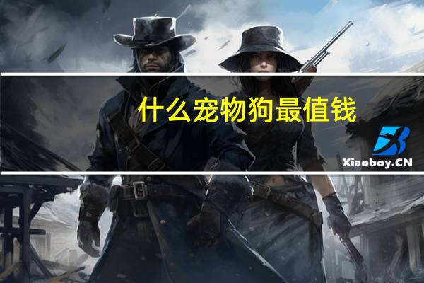 什么宠物狗最值钱