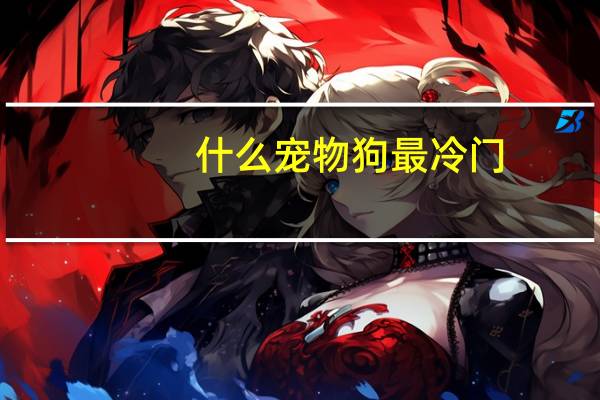 什么宠物狗最冷门