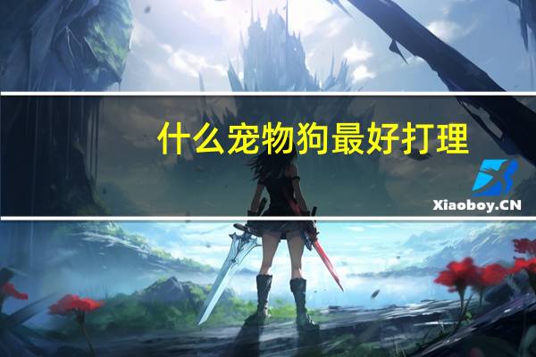 什么宠物狗最好打理