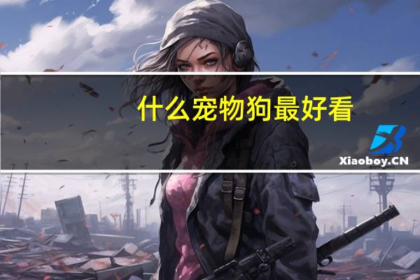 什么宠物狗最好看