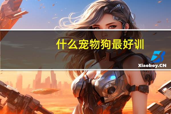 什么宠物狗最好训