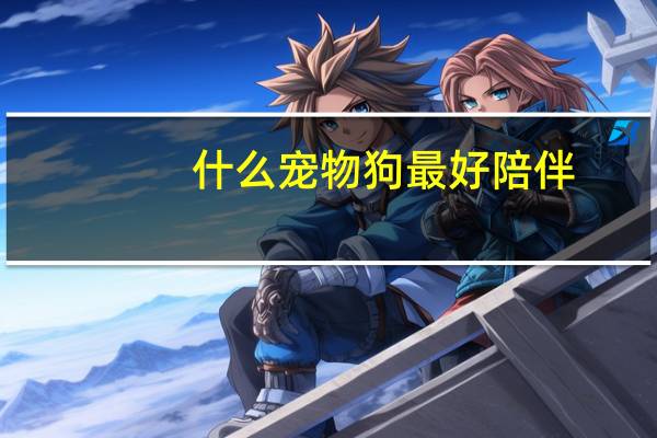 什么宠物狗最好陪伴