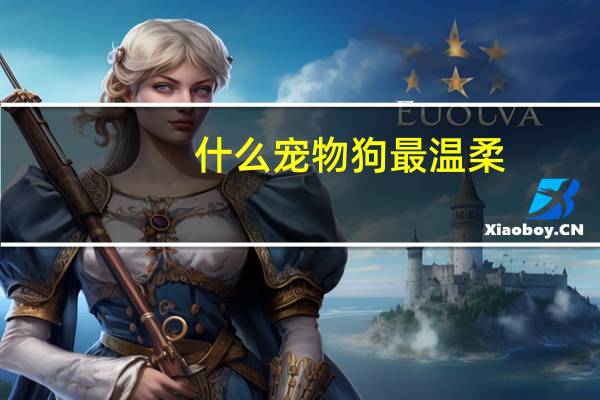 什么宠物狗最温柔