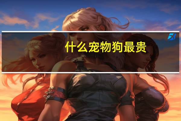 什么宠物狗最贵